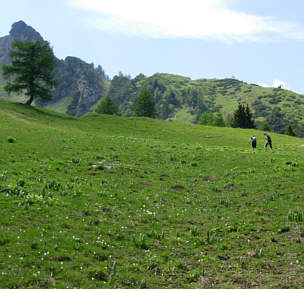 Vom Liechtenstein Marathon 2005