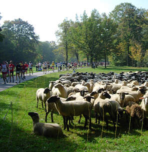 Vom München - Marathon 2005