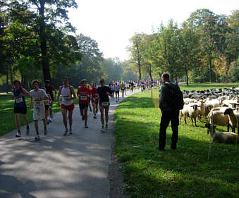 Vom Mnchen - Marathon 2005