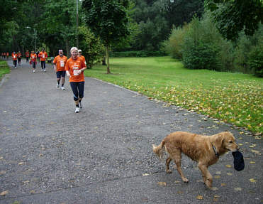 Vom Stadtlauf Nrnberg 2005