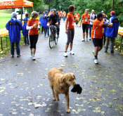 Stadtlauf Nrnberg 2005