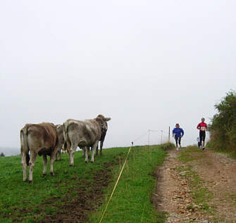 Vom Voralpenmarathon 2005