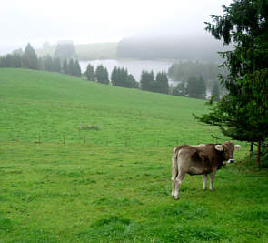 Vom Voralpenmarathon 2005