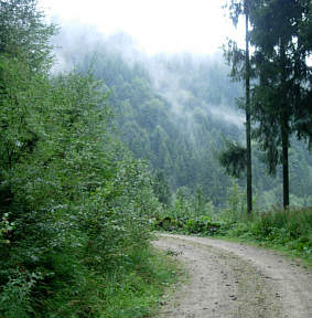 Vom Voralpenmarathon 2005