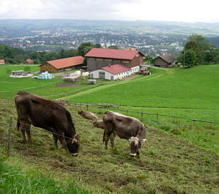 Vom Voralpenmarathon 2005