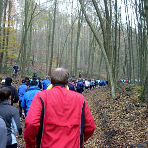 Vom Zeiler Waldmarathon 2005