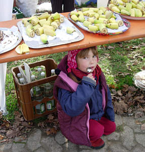 Vom Zeiler Waldmarathon 2005