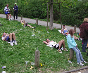 Vom Würzburg Marathon