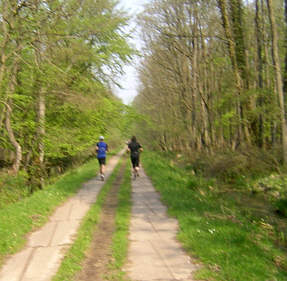 Darß Marathon 2006