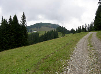 Gebirgsmarathon Immenstadt 2006