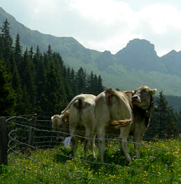Graubünden Marathon 2006