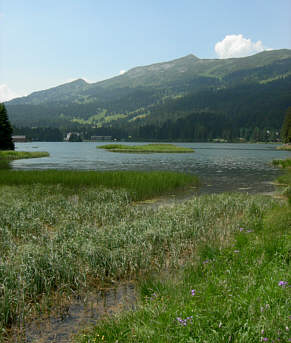 Graubünden Marathon 2006