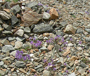 Graubünden Marathon 2006