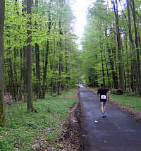 100 km Deutsche Meisterschaft in Hanau Rodenbach