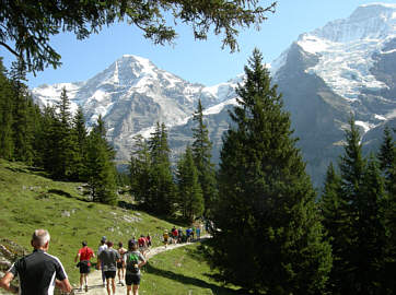 Jungfrau Marathon 2006