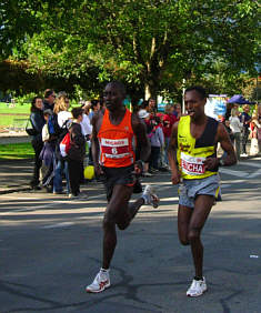 Jungfrau Marathon 2006