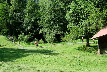 Jungfrau Marathon 2006