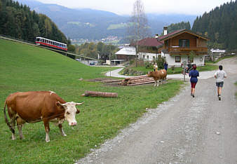 Kaiser - Marathon 2006