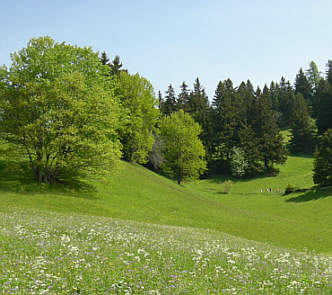 Liechtenstein Marathon 2006