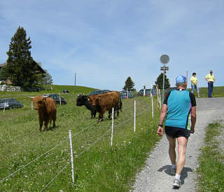 Liechtenstein Marathon 2006