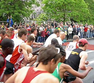 Wrzburg Marathon 2006