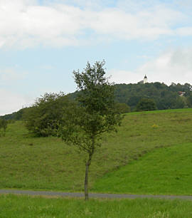 Frnkischer Schweiz Marathon 2007