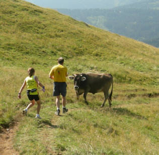 Gebirgsmarathon Immenstadt am 4.8.07