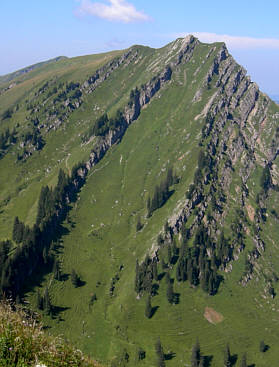 Gebirgsmarathon Immenstadt am 4.8.07