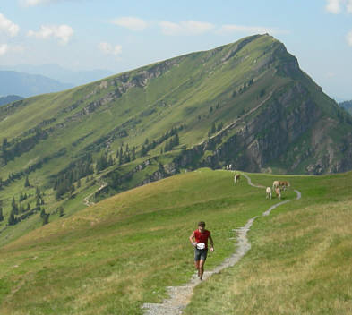 Gebirgsmarathon Immenstadt am 4.8.07