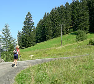 Gebirgsmarathon Immenstadt am 4.8.07