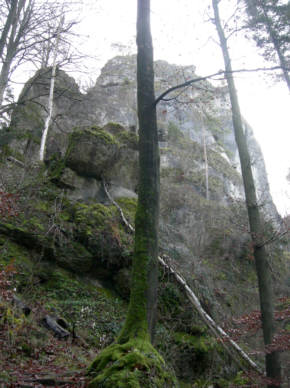 Genusslauf Marathon in der Frnkischen Schweiz