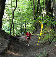 Graubünden Marathon am 23.6.2007