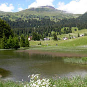 Graubünden Marathon am 23.6.2007