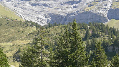 Jungfrau Marathon 2007