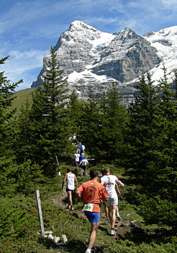 Jungfrau Marathon 2007