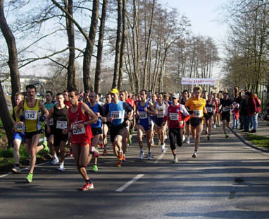 Bienwald - Marathon Kandel am 11.3.2007