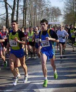 Bienwald - Marathon Kandel am 11.3.2007