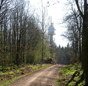 Kyffhäuser - Marathon am 14.4.2007