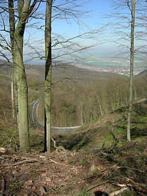 Kyffhäuser - Marathon am 14.4.2007