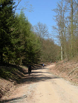 Kyffhäuser - Marathon am 14.4.2007