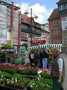 Rennsteig - Supermarathon am 19.5.2007