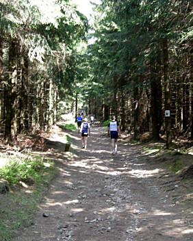 Rennsteig - Supermarathon am 19.5.2007