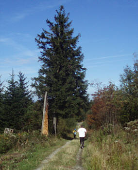 Teufelslauf Bad Herrenalb 2007