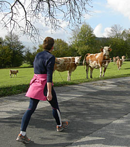 Tour de Tirol 2007