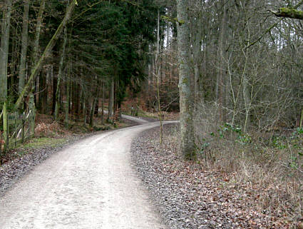 Vertikaler Marathon 2007