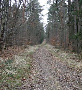 Vertikaler Marathon 2007