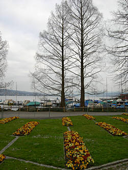 Zürich - Marathon am 1.4.2007