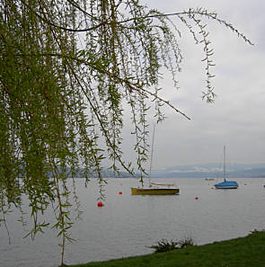Zürich - Marathon am 1.4.2007