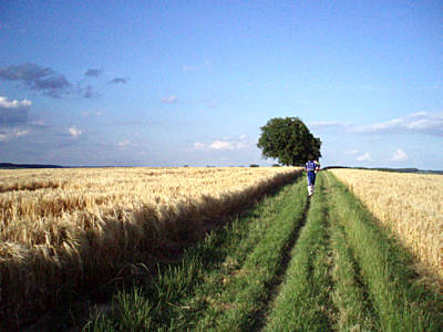 Fidelitas Nachtlauf 2008