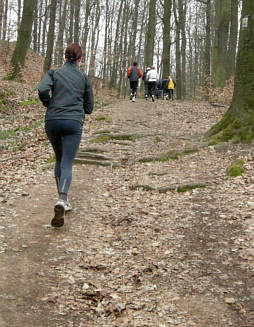 Frth Cross - Halbmarathon 2008